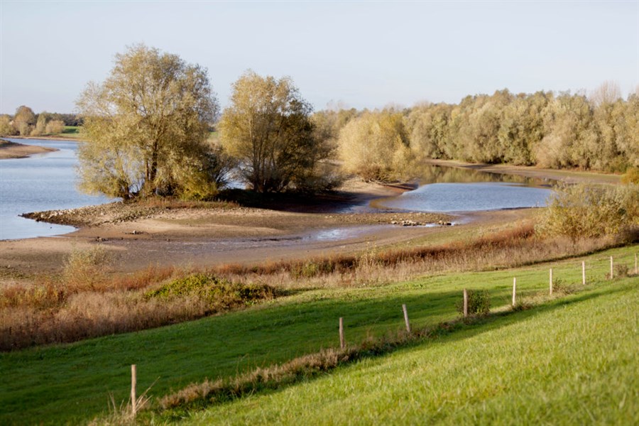 Bericht Plannen voor herstel riviernatuur bij uiterwaard Fraterwaard bekijken